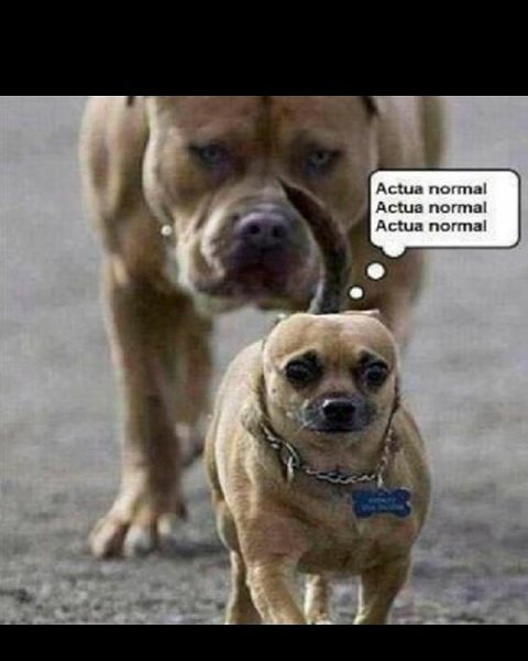 Cuando estas en problemas!esta es la solución