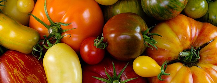 TasteOfCollier's tweet photo. #FoodieFactFriday There are more than 10,000 varieties of tomatoes...who knew! https://t.co/9PTcSSP65p