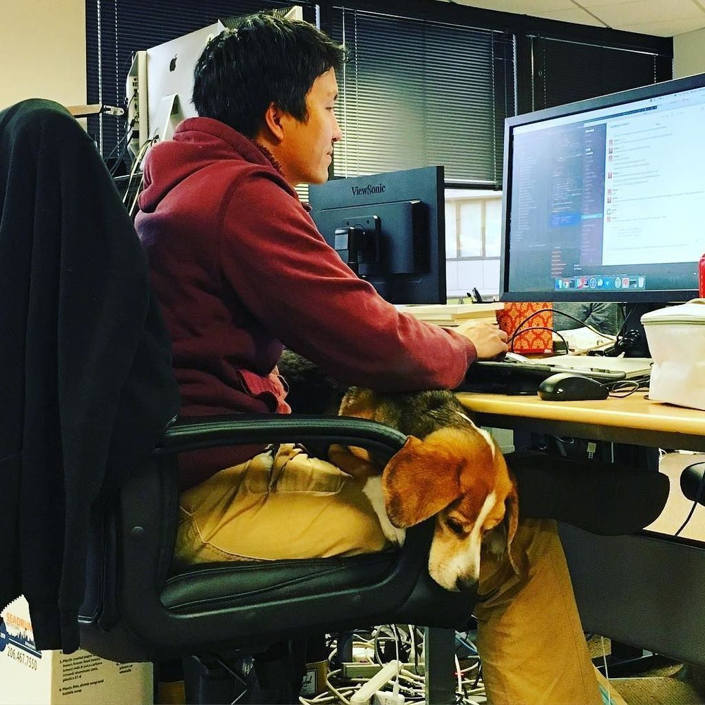 usermindinc's tweet image. #paircoding