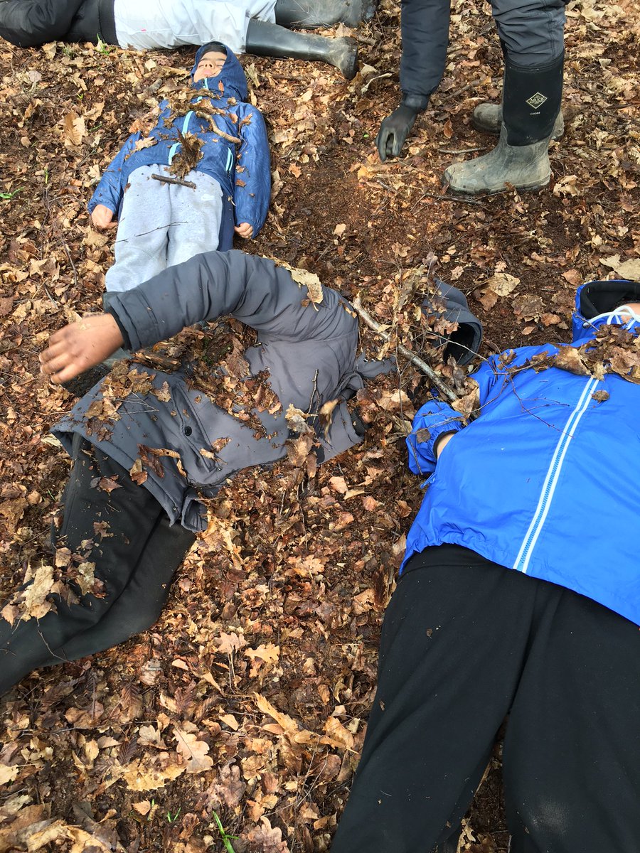 MissPenroseDPS's tweet photo. Boys in group 1 staying still during Sleeping Lions- forest style! https://t.co/hvK10qpeyW