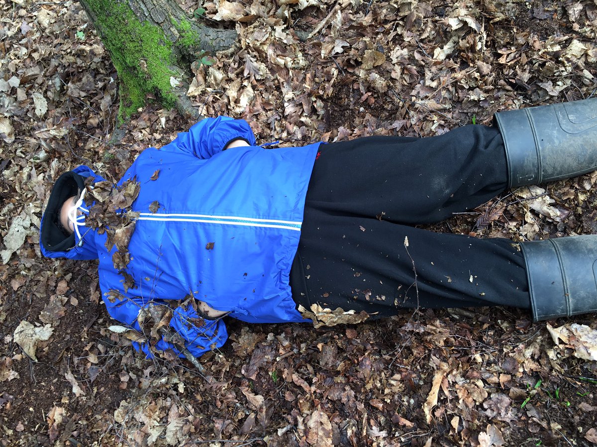 MissPenroseDPS's tweet photo. Boys in group 1 staying still during Sleeping Lions- forest style! https://t.co/hvK10qpeyW