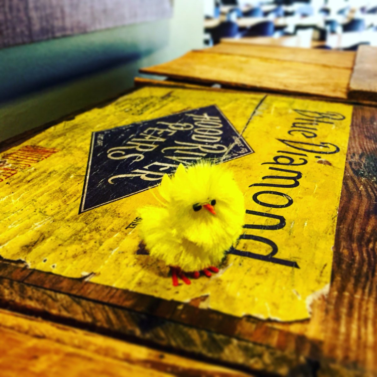 HotHouseAgency's tweet photo. #SpringFeaver #CheekyChicks #Abound #hothouseagency https://t.co/5RsNCauN0H