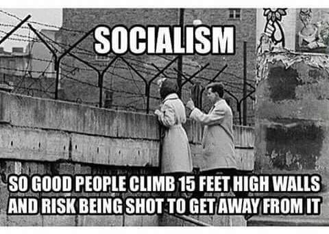 DogAttackLawyer's tweet image. #FridayFeeling @mnewell17 @walthollick @BluebirdofPA @trfleager @NotTooBlonde @MarkCulp3 #Democracy