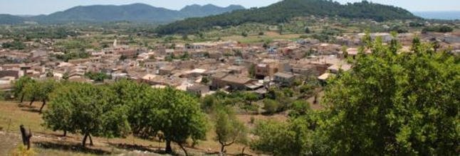 diariomallorca's tweet photo. Detenido un joven por asesinar presuntamente a su pareja en Son Servera https://t.co/NcpK0FkUcd https://t.co/Mgx8lzli0t