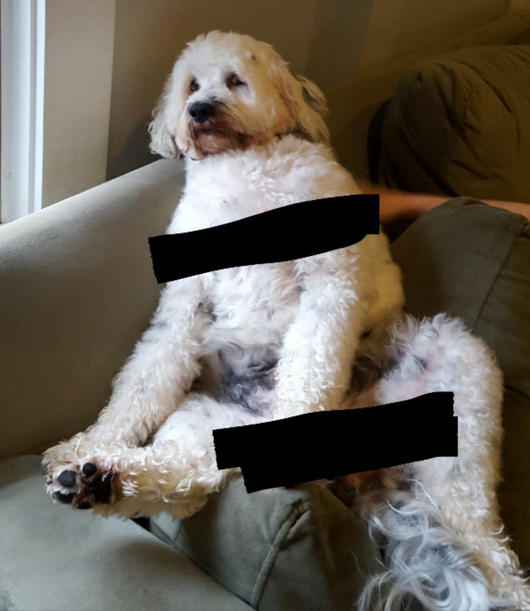RileyBull tweet picture