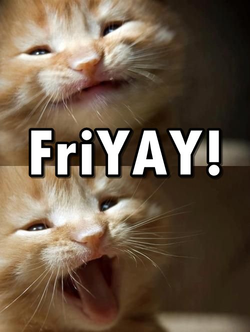parachutepet's tweet photo. #HappyFriday Everyone! Forget all the bad things you've encountered this week and have a #great #weekend! https://t.co/XFy0c77pc0