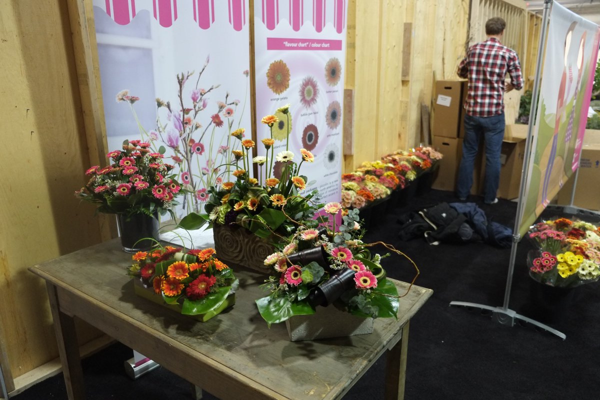 piccoliniNA's tweet photo. We are all set up and ready to go at #canadablooms2016. Come meet the new #PiccoliniFlower. @CanadaBlooms https://t.co/gyLAI92QH9