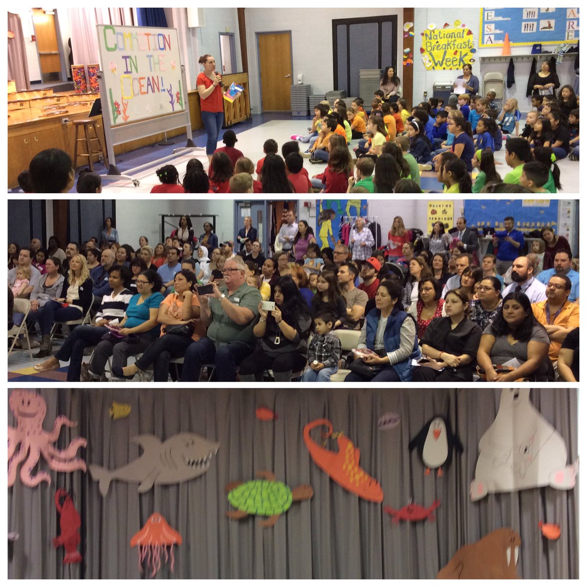 Commotion in the Ocean-Ms. Brown' second grade musical- a huge hit!! Congrats second graders!@BrownMusic3 <a href="/APSArts/">APS Arts Education</a>