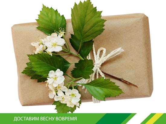 ponyexpressru's tweet photo. Акция «Доставим весну вовремя» получите скидку 5%
#ponyexpress #акция #доставимвеснувовремя https://t.co/AmcGz2J7rS https://t.co/cneZJOlLVu