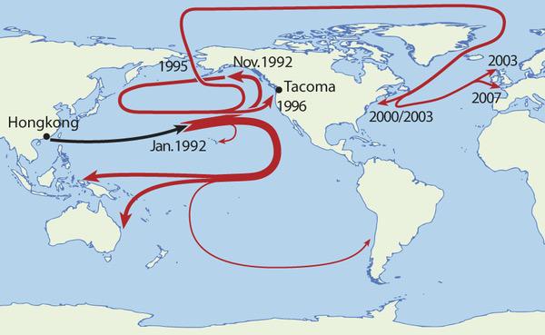 wellbelove's tweet photo. In 1992 around 29,000 rubber ducks fell off a cargo ship in Pacific Ocean. This is where they ended up #icymi https://t.co/8Abj5aCok4