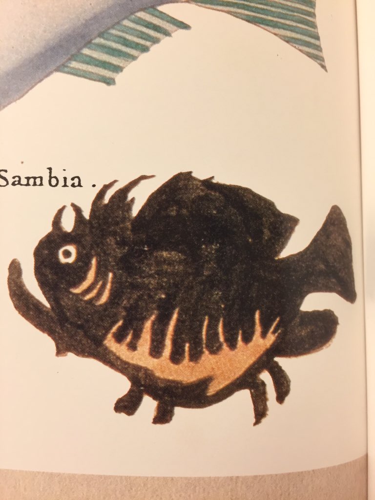 竜生九子博物館館長 私の好きなイザリウオの絵です いざり という言葉が差別用語であるとされ いまではカエルアンコウという名前に変わったようです 狩りをする 漁り が由来ではないかと名前の変更に異論を唱えたのは荒俣さんだったと記憶してます 竜生九子博物館館長 私の好きなイザリウオの絵です いざり という言葉が差別用語であるとされ いまではカエルアンコウという名前に変わったようです 狩りをする 漁り が由来ではないかと名前の変更に異論を唱えたのは荒俣さんだったと記憶してます