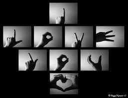 rachel_febry's tweet photo. I LOVE YOU more~
#F01 https://t.co/v3MgQDA2oa