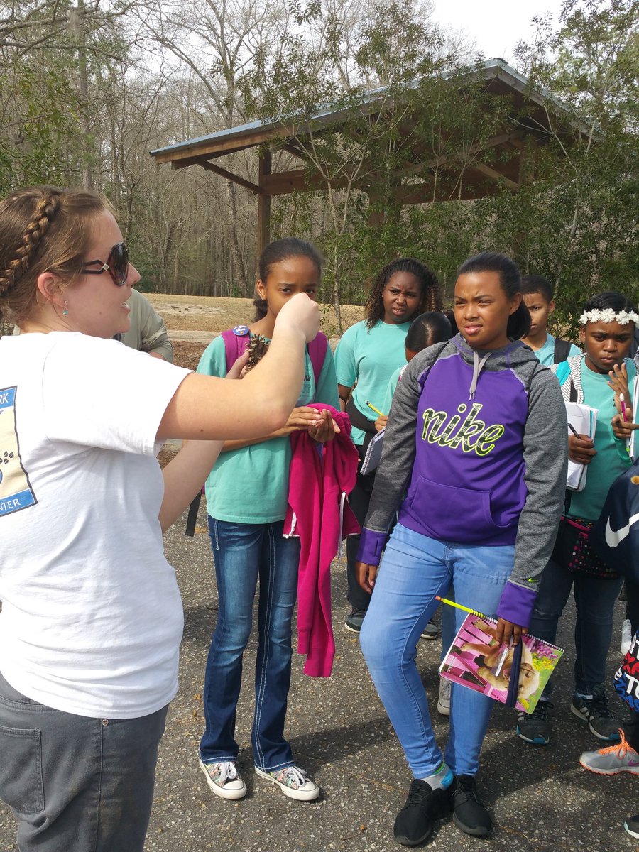 ZooBotLMS's tweet photo. Female cones are found on the ground #windpollination lynches river county park @LongleafMiddle @RichlandTwo https://t.co/zuzGCRVMfH