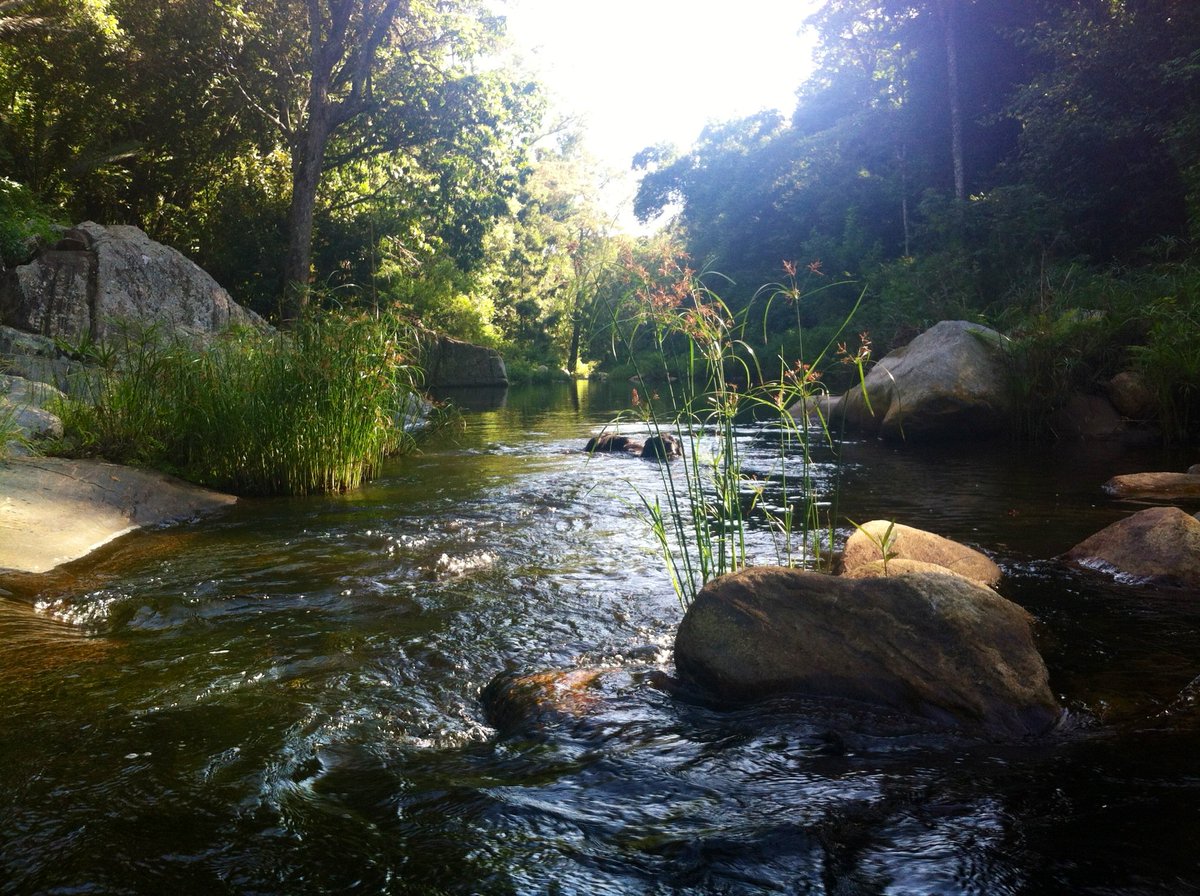 KitichCamp's tweet photo. Beautiful afternoon by the river: great spot for a dip.Have a gd wkend! #wildswimming #kitichcamp #kenya #itsfriday https://t.co/mQ6XHXDxJk