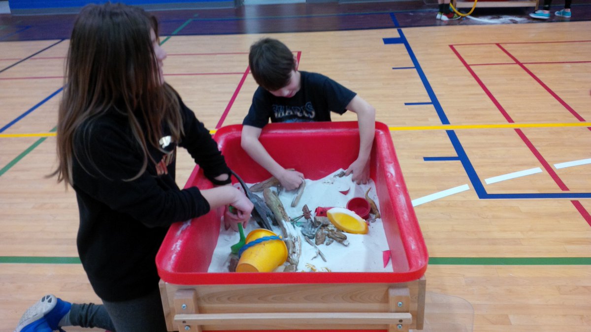 Westmount P.S. tweet media