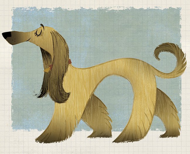 Pup of the Month This month's pup is the dignified and independent Afghan Hound.