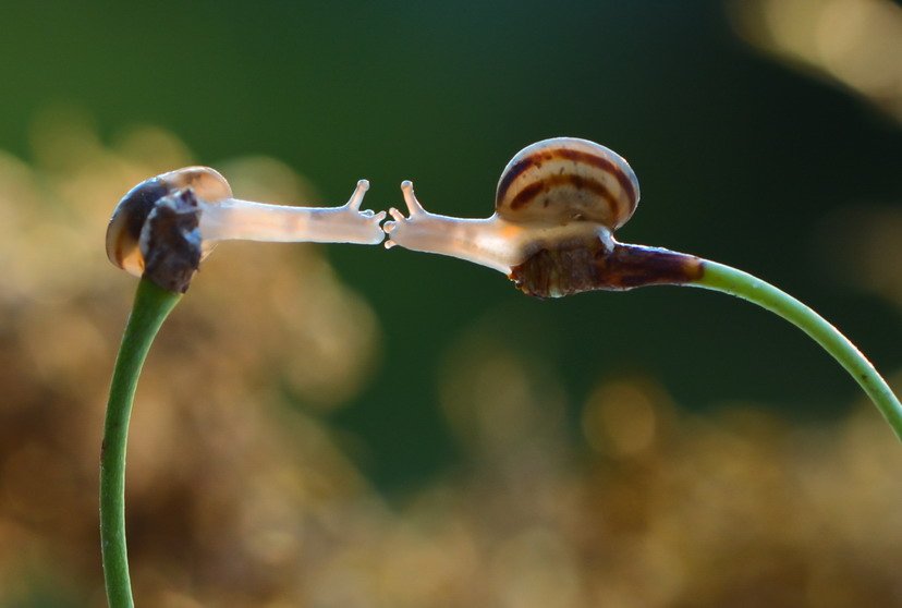 PanelStone's tweet image. Про любоFF.