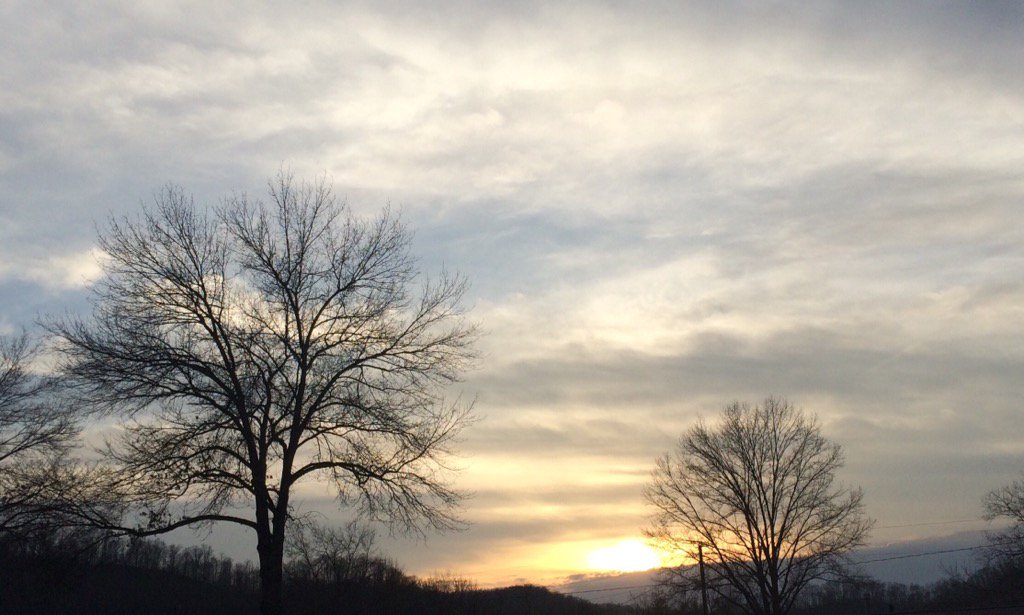 PraterJanice's tweet photo. #beautiful https://t.co/yA5wPqdVVs