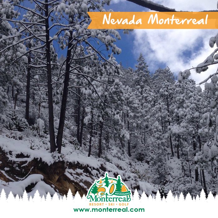 b_monterreal's tweet photo. Nevada Marzo 2016  @B_Monterreal https://t.co/NeCODZvnmD