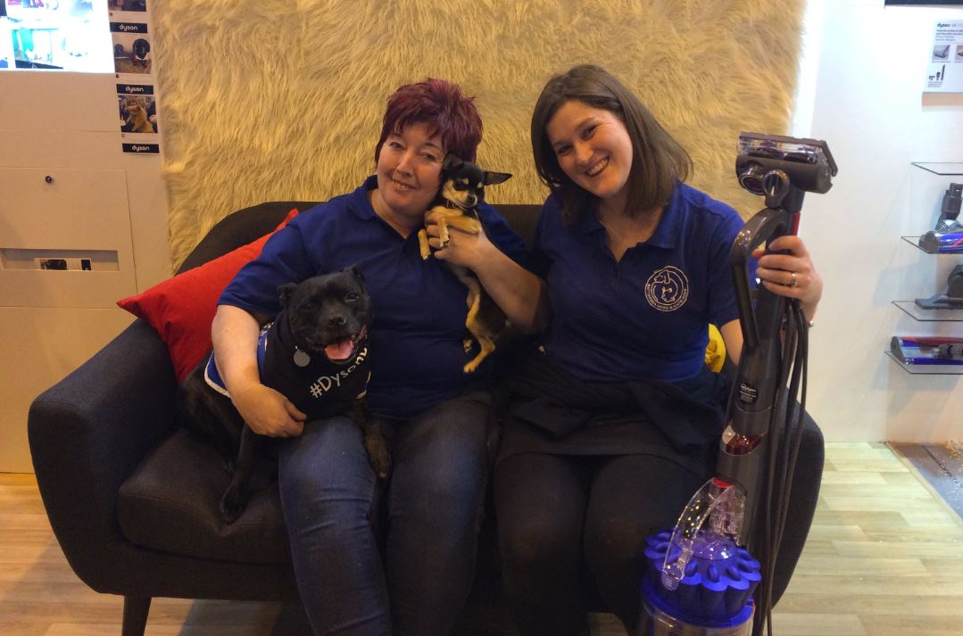 Battersea_'s tweet photo. We're visiting our newest partner @Dyson's stand at #Crufts today with some of our four-legged friends #DysonDogs https://t.co/gTcCJNG3kX