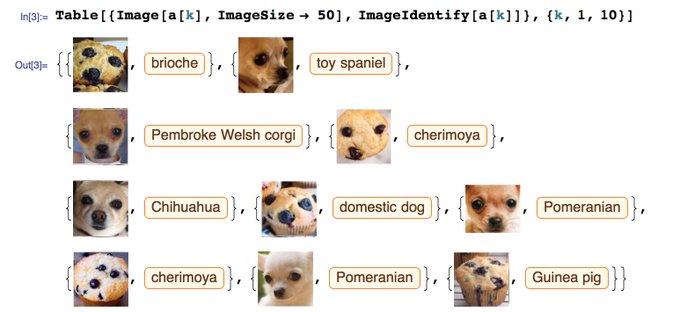 View image on Twitter