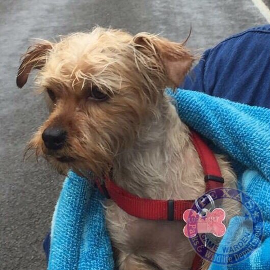 View image on Twitter