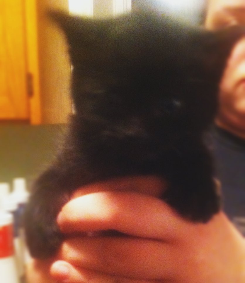 Excited to pick up Baby Eli on Tuesday!