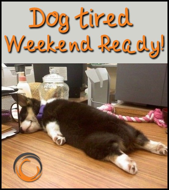 BestRatesVA's tweet photo. Only a few more hours! Happy #Friday!
#SpringfeverFriday https://t.co/Qp4Jt2CvHJ