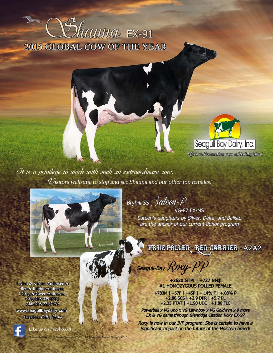 PolledPlace's tweet photo. Seagull Bay Dairy in the March/April issue of #PolledPlace! https://t.co/kHqu6UbsGI