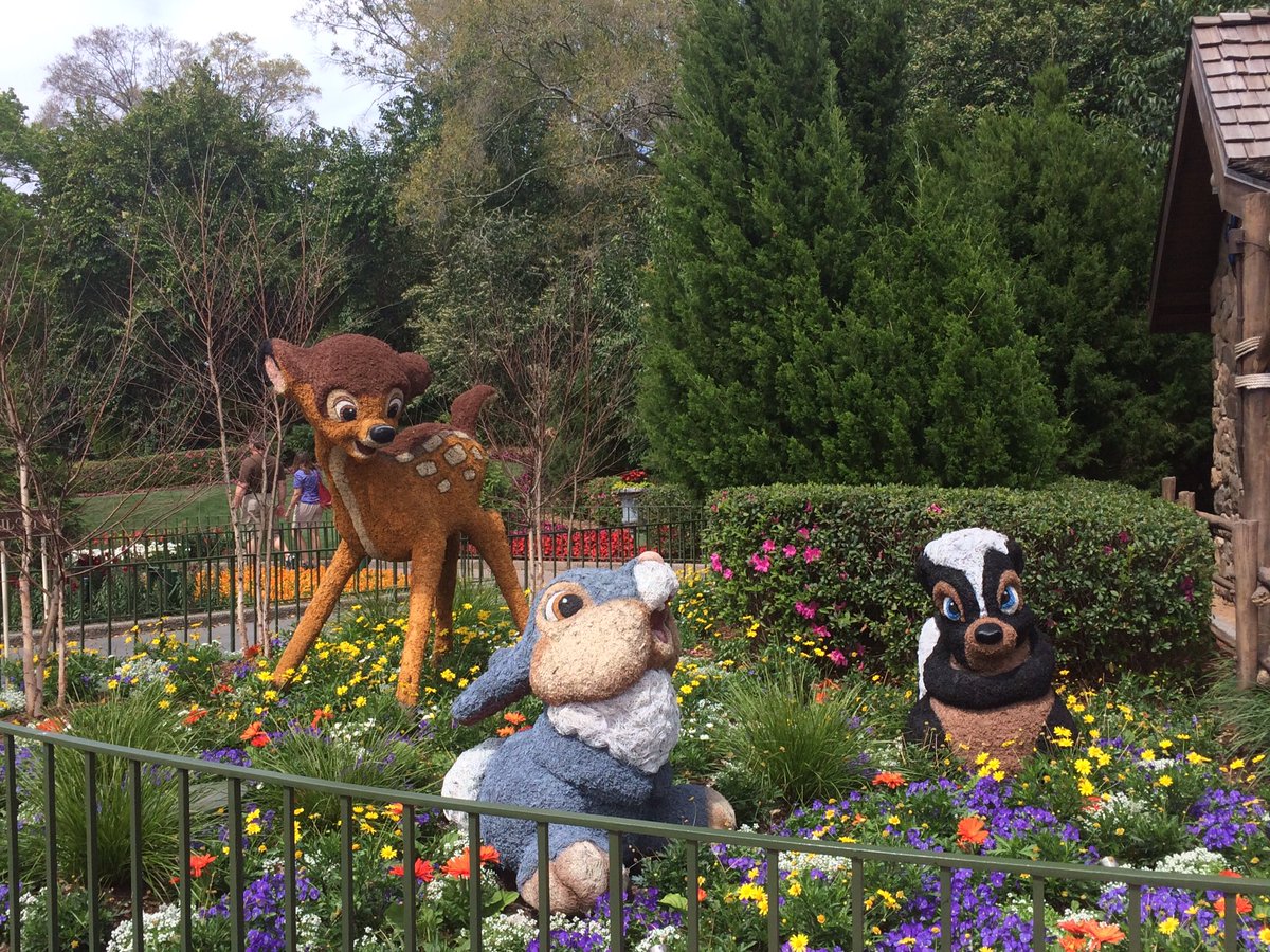 || Here's a little pic from Epcot.