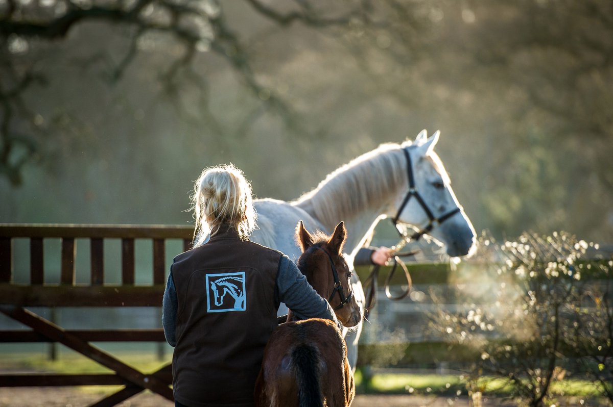 dredvers's tweet photo. Some more lovely pics take @TweenhillsHub by @s_farnsworth1 Why not pay us a visit if visiting @CheltenhamRaces? https://t.co/OV88PzKZ2k