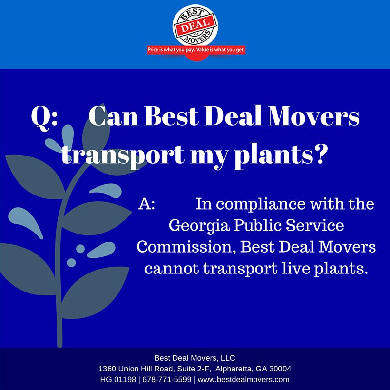 BestDeal_Movers's tweet image. Can live plants be transported to your new location? Get answers to your #MovingFAQs here - ow.ly/Z8NHE