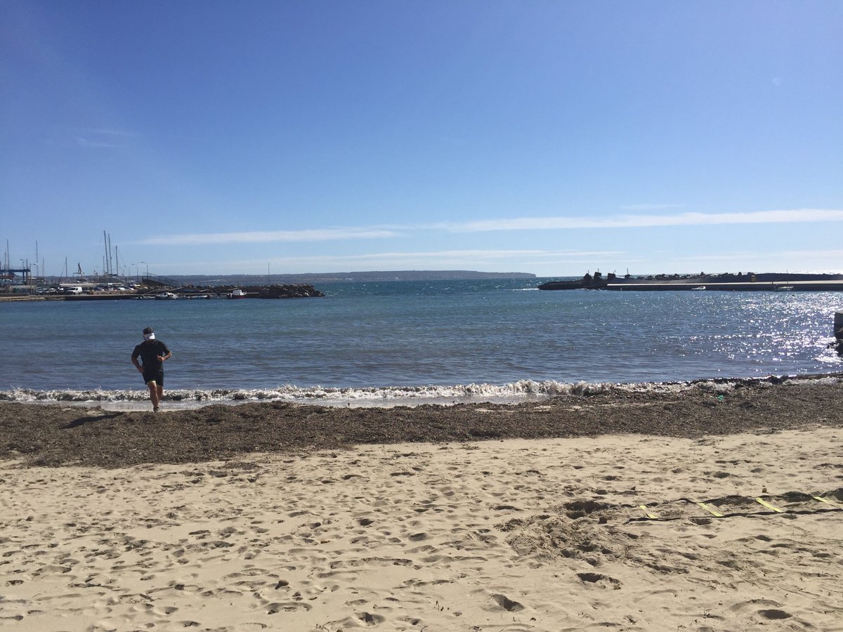 ACFYS's tweet photo. Entrenamiento matutino en la playa del Coll den Rabassa con nuestro amigo Joanmi.

https://t.co/wJKIio1UwJ https://t.co/qY4JOplCyG
