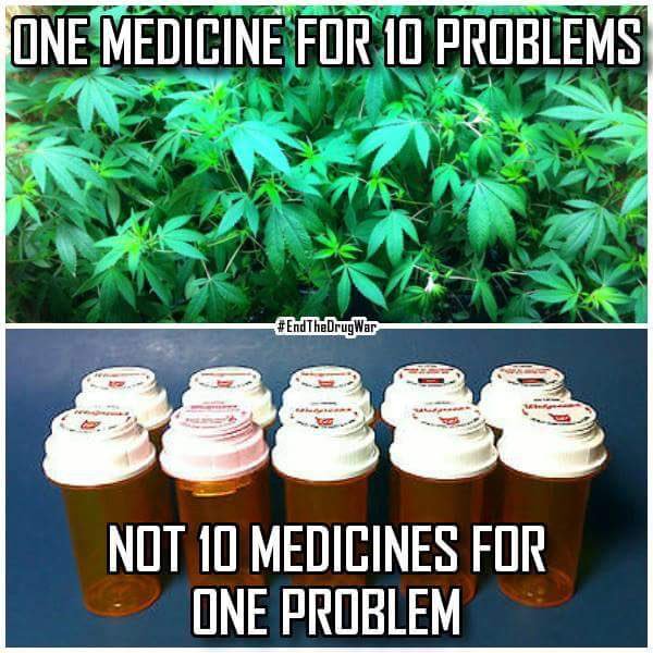 guerillahealer's tweet photo. #farmsnotpharms https://t.co/nbTR79bsZV