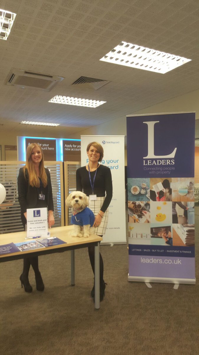Crawley Leaders has a #officepet. Today at <a href="/Barclays/">Barclays Bank</a> #popupshop #lola #talkofthetown #rentingorselling #getitright