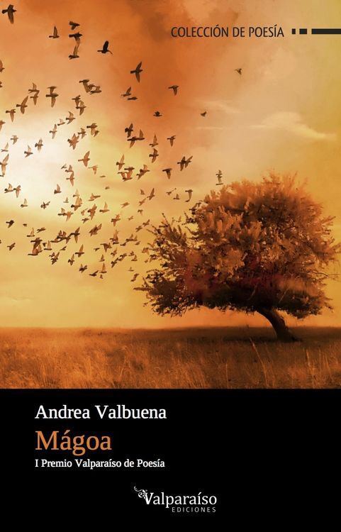 valparaisoed's tweet photo. Los libros ganadores del Premio Valparaíso llegarán el 4 de abril a librerías de España. @Patriciabeda @algunandrea https://t.co/ZK5QC1I4so