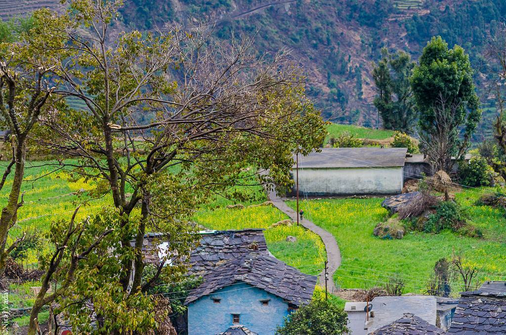 budgetyatri's tweet photo. Saari village.
Uttarakhand.
#saarivillage #himalayas #indianvillage #uttarakhand #instau… https://t.co/L9j4uO5DHk https://t.co/x31vpFSxi1