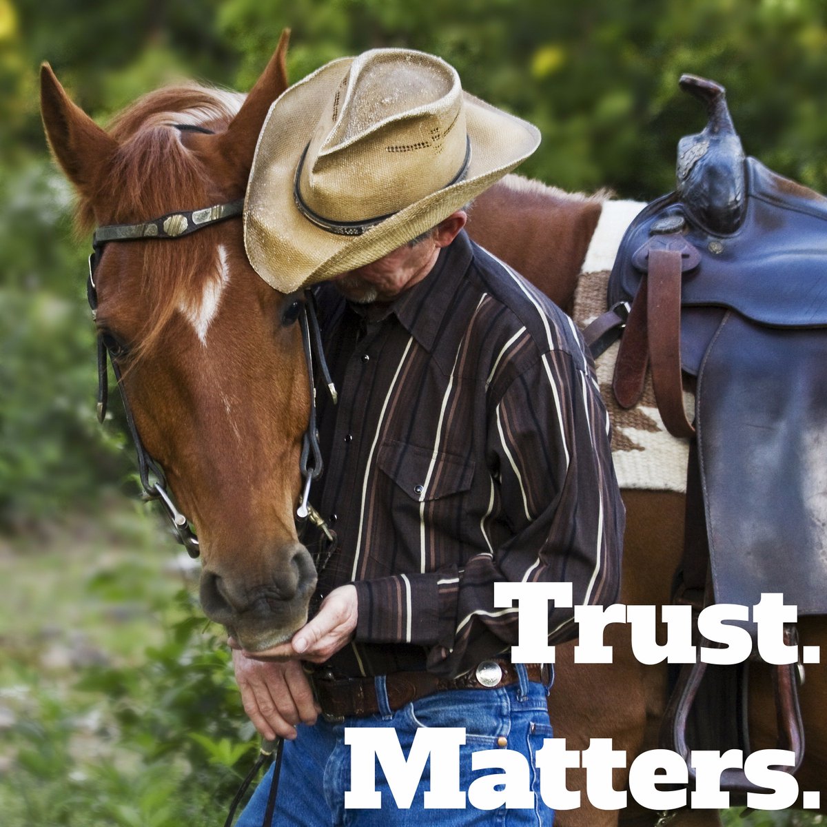 gallagherfences's tweet photo. IMPORTANT: Your horse needs to #trust you AND its environment. Get fencing you can trust. https://t.co/AHtD7sXmq4. https://t.co/jgO3MghPhW