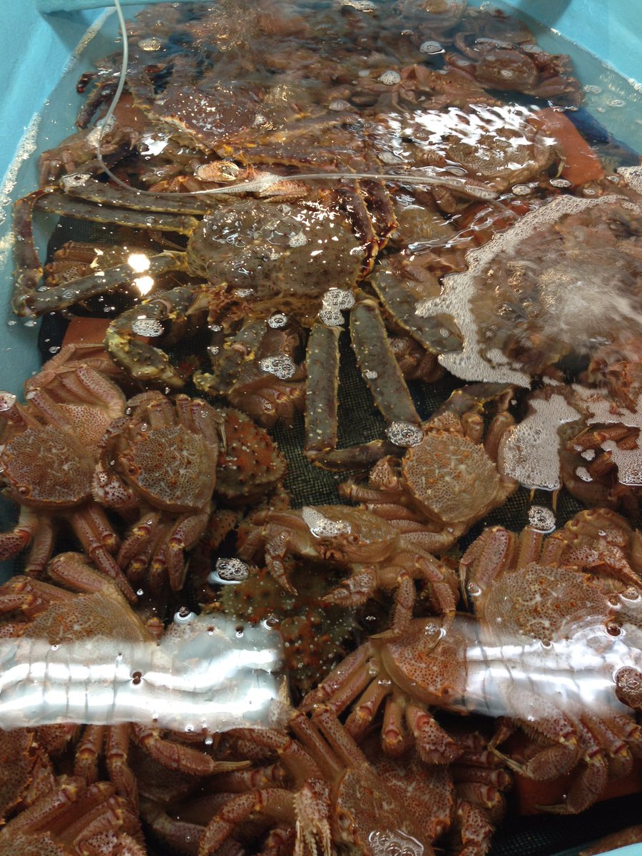 札幌でかにしゃぶ かに刺身を堪能できるお店6選 おすすめの名店を厳選 旅行 お出かけの情報メディア