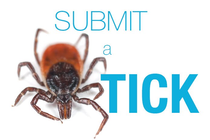 AlbertaAg's tweet photo. March is #TickAwareness Month. #ticks on livestock? Contact your vet! https://t.co/zUxZJwcg5l @CanVetMedAssoc https://t.co/aa8HXMeeQC