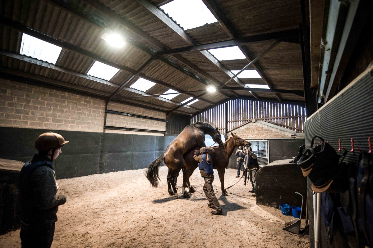 dredvers's tweet photo. Contact @TweenhillsHub office on 01452 700177 and book in a visit during @CheltenhamRaces next week - lots to see! https://t.co/KeG1VLqPZ5