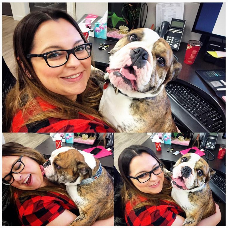 Look who's in our office today... The noble bulldog Winston! That's right: It's fur baby Friday!