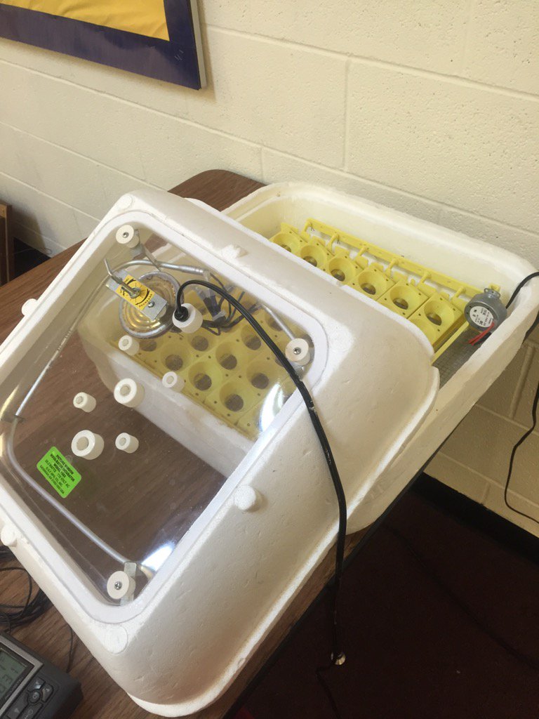 kamywhatley's tweet photo. Preparing incubator for guinea fowl eggs! Joint project w Ag classes and lower sci classes! #agvocate #AgEdu https://t.co/WPIKOoQBoE