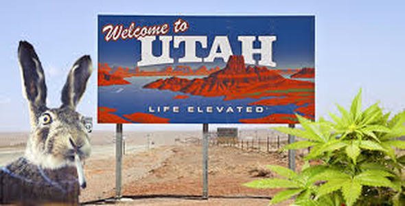 #Utah House Not Voting on #MedicalMarijuana desne.ws/PhZyBn @JimWard6 #MMJ #CannabisDebate #MedicalCannabis