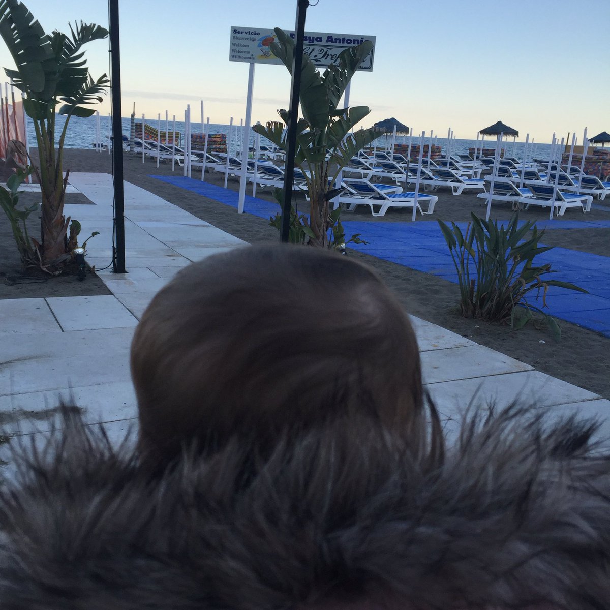 celiarueda1's tweet photo. Mirando al mar,  soñé....  #Torremolinos #Málaga #Estoesvida #conmipeque https://t.co/WwYM16942I
