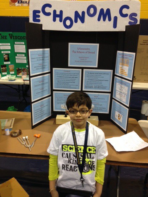 Regional Science Fair