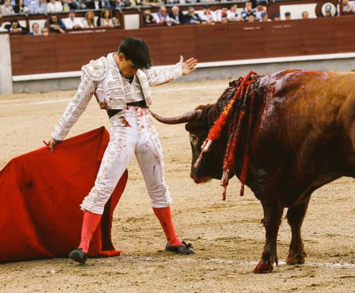 luisgarciavazq8's tweet photo. Totalmente injusto que dejen a Gonzalo Caballero fuera de los carteles de Madrid https://t.co/wqQu2h7LTK