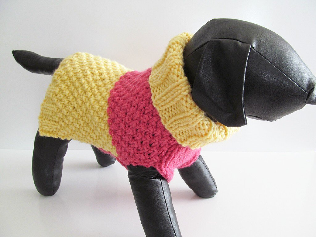 4PawsOuterwear's tweet photo. Must Have Spring Tails! Find your spring + summer fashions now! #DigintoSpring #petclothes #dogsweaters https://t.co/hA0bcAzGO3