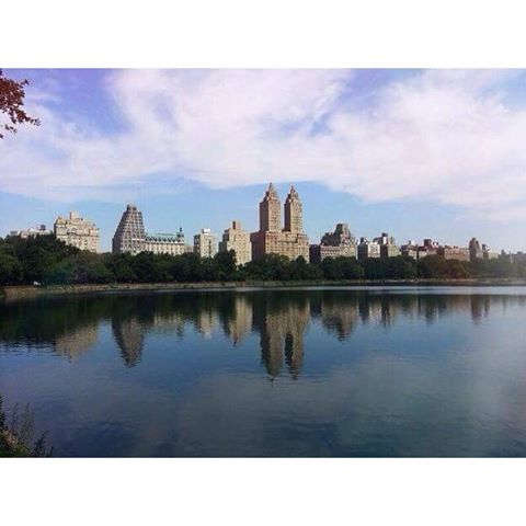 EcuadorAhora's tweet photo. ★ expoestudiante: Llega la primavera al Central Park, Nueva York. 🗽
#MiDestinoEs #NuevaYork #Primavera #CentralPar https://t.co/Q8baCZ8fHj