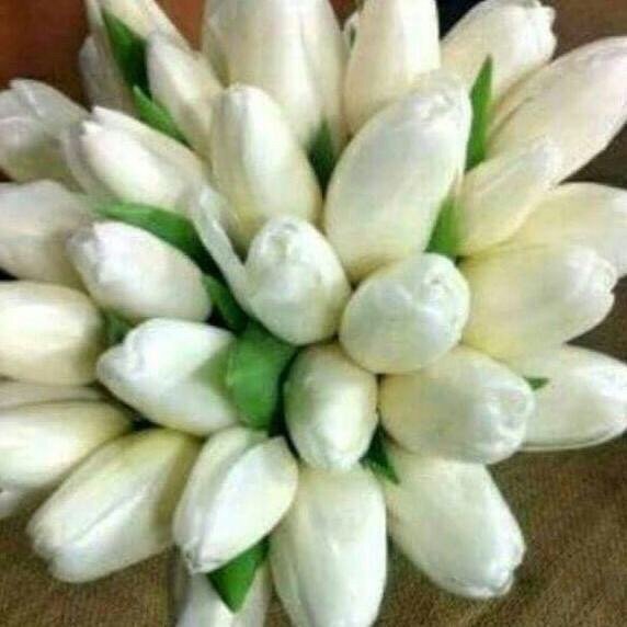 AMoooon2016 tweet picture